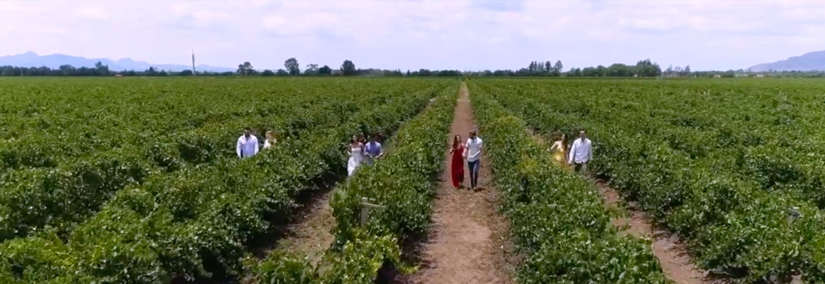 RUTA DEL VINO EN AGUASCALIENTES